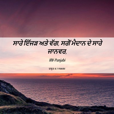 Picture 06 - ਜ਼ਬੂਰ 8:7 PANIRV - ਸਾਰੇ ਇੱਜੜ ਅਤੇ ਵੱਗ, - Bible Verse Picture