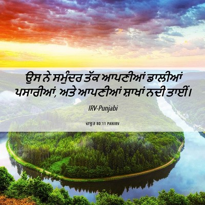 Picture 06 - ਜ਼ਬੂਰ 80:11 PANIRV - ਉਸ ਨੇ ਸਮੁੰਦਰ ਤੱਕ - Bible Verse Picture