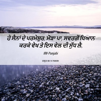 Picture 06 - ਜ਼ਬੂਰ 80:14 PANIRV - ਹੇ ਸੈਨਾਂ ਦੇ - Bible Verse Picture