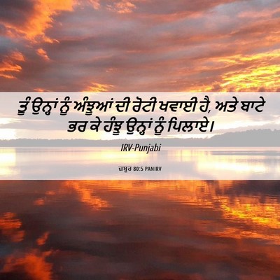 Picture 06 - ਜ਼ਬੂਰ 80:5 PANIRV - ਤੂੰ ਉਨ੍ਹਾਂ ਨੂੰ - Bible Verse Picture