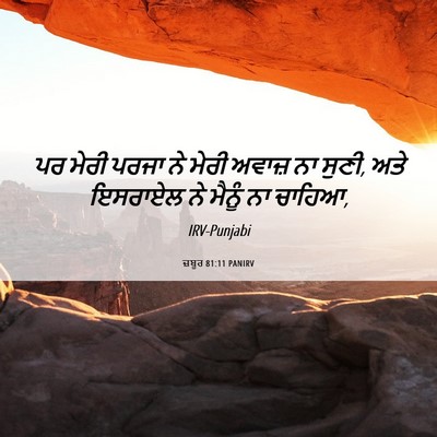 Picture 06 - ਜ਼ਬੂਰ 81:11 PANIRV - ਪਰ ਮੇਰੀ ਪਰਜਾ ਨੇ - Bible Verse Picture