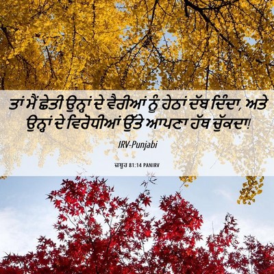 Picture 06 - ਜ਼ਬੂਰ 81:14 PANIRV - ਤਾਂ ਮੈਂ ਛੇਤੀ - Bible Verse Picture