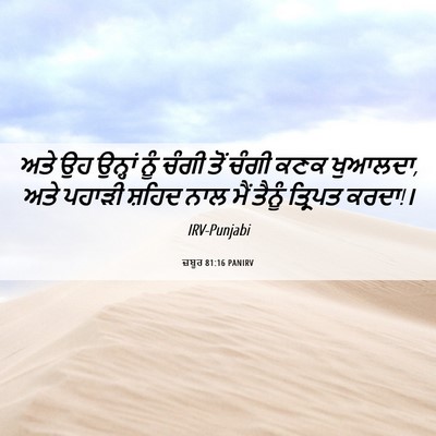 Picture 06 - ਜ਼ਬੂਰ 81:16 PANIRV - ਅਤੇ ਉਹ ਉਨ੍ਹਾਂ ਨੂੰ - Bible Verse Picture