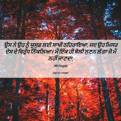Picture 06 - ਜ਼ਬੂਰ 81:5 PANIRV - ਉਸ ਨੇ ਉਹ ਨੂੰ ਯੂਸੁਫ਼ - Bible Verse Picture