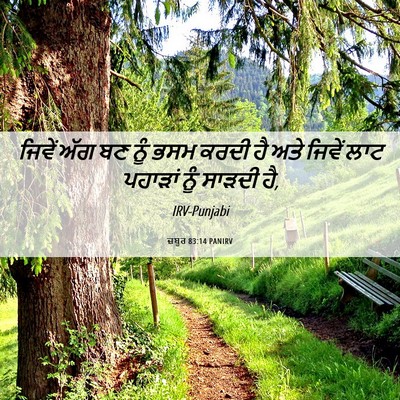 Picture 06 - ਜ਼ਬੂਰ 83:14 PANIRV - ਜਿਵੇਂ ਅੱਗ ਬਣ ਨੂੰ - Bible Verse Picture