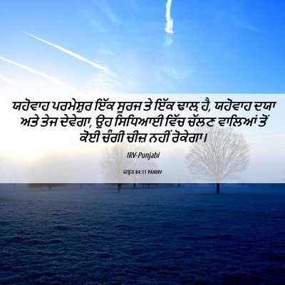 Picture 06 - ਜ਼ਬੂਰ 84:11 PANIRV - ਯਹੋਵਾਹ ਪਰਮੇਸ਼ੁਰ - Bible Verse Picture