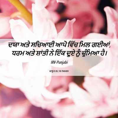 Picture 06 - ਜ਼ਬੂਰ 85:10 PANIRV - ਦਯਾ ਅਤੇ ਸਚਿਆਈ ਆਪੋ - Bible Verse Picture