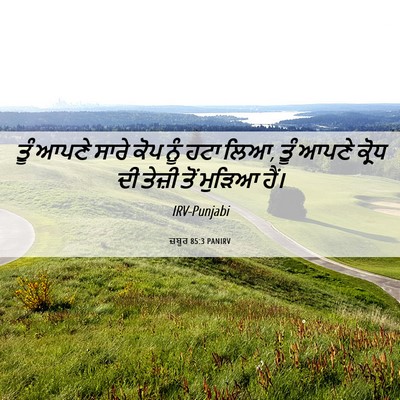 Picture 06 - ਜ਼ਬੂਰ 85:3 PANIRV - ਤੂੰ ਆਪਣੇ ਸਾਰੇ ਕੋਪ - Bible Verse Picture