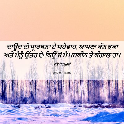 Picture 06 - ਜ਼ਬੂਰ 86:1 PANIRV - ਦਾਊਦ ਦੀ ਪ੍ਰਾਰਥਨਾ - Bible Verse Picture