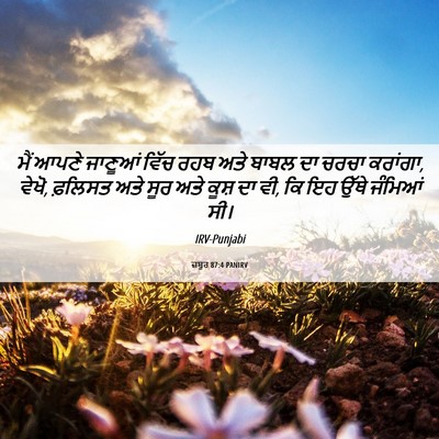 Picture 06 - ਜ਼ਬੂਰ 87:4 PANIRV - ਮੈਂ ਆਪਣੇ ਜਾਣੂਆਂ - Bible Verse Picture
