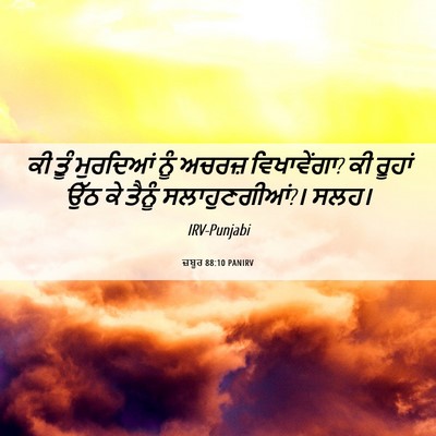 Picture 06 - ਜ਼ਬੂਰ 88:10 PANIRV - ਕੀ ਤੂੰ ਮੁਰਦਿਆਂ ਨੂੰ - Bible Verse Picture