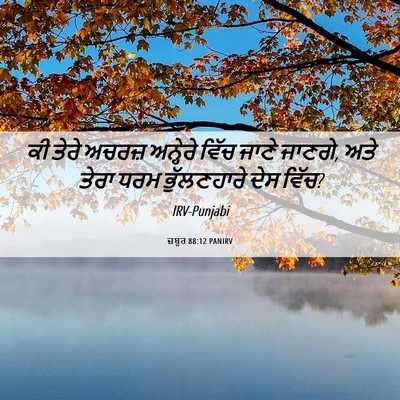 Picture 06 - ਜ਼ਬੂਰ 88:12 PANIRV - ਕੀ ਤੇਰੇ ਅਚਰਜ਼ - Bible Verse Picture