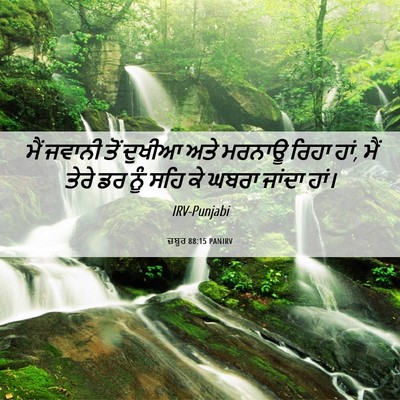 Picture 06 - ਜ਼ਬੂਰ 88:15 PANIRV - ਮੈਂ ਜਵਾਨੀ ਤੋਂ - Bible Verse Picture