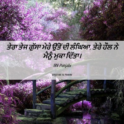 Picture 06 - ਜ਼ਬੂਰ 88:16 PANIRV - ਤੇਰਾ ਤੇਜ ਗੁੱਸਾ - Bible Verse Picture