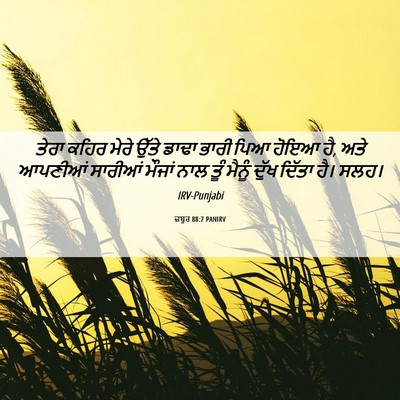 Picture 06 - ਜ਼ਬੂਰ 88:7 PANIRV - ਤੇਰਾ ਕਹਿਰ ਮੇਰੇ - Bible Verse Picture
