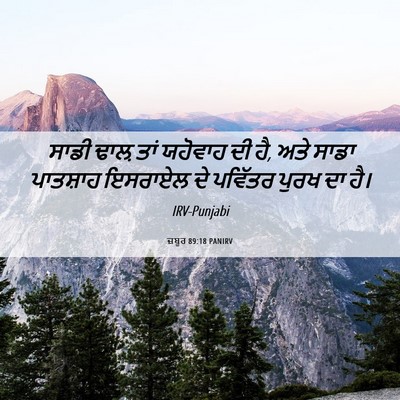 Picture 06 - ਜ਼ਬੂਰ 89:18 PANIRV - ਸਾਡੀ ਢਾਲ਼ ਤਾਂ - Bible Verse Picture