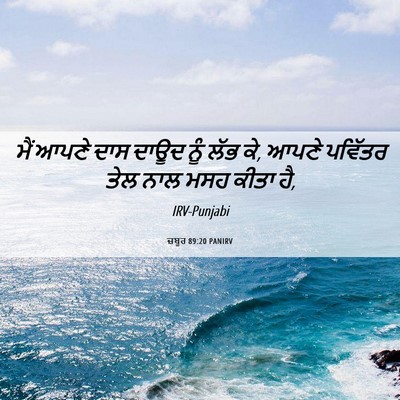 Picture 06 - ਜ਼ਬੂਰ 89:20 PANIRV - ਮੈਂ ਆਪਣੇ ਦਾਸ ਦਾਊਦ - Bible Verse Picture
