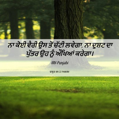 Picture 06 - ਜ਼ਬੂਰ 89:22 PANIRV - ਨਾ ਕੋਈ ਵੈਰੀ ਉਸ ਤੋਂ - Bible Verse Picture