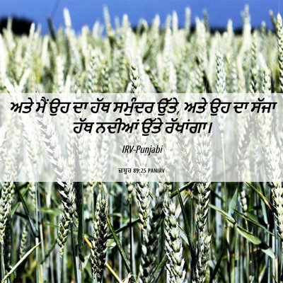 Picture 06 - ਜ਼ਬੂਰ 89:25 PANIRV - ਅਤੇ ਮੈਂ ਉਹ ਦਾ ਹੱਥ - Bible Verse Picture