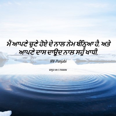 Picture 06 - ਜ਼ਬੂਰ 89:3 PANIRV - ਮੈਂ ਆਪਣੇ ਚੁਣੇ ਹੋਏ - Bible Verse Picture