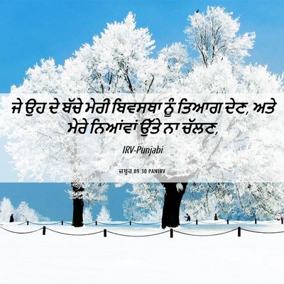 Picture 06 - ਜ਼ਬੂਰ 89:30 PANIRV - ਜੇ ਉਹ ਦੇ ਬੱਚੇ ਮੇਰੀ - Bible Verse Picture