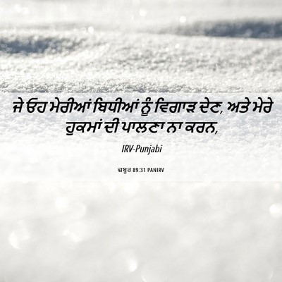Picture 06 - ਜ਼ਬੂਰ 89:31 PANIRV - ਜੇ ਓਹ ਮੇਰੀਆਂ - Bible Verse Picture
