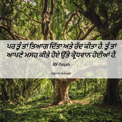 Picture 06 - ਜ਼ਬੂਰ 89:38 PANIRV - ਪਰ ਤੂੰ ਤਾਂ ਤਿਆਗ - Bible Verse Picture
