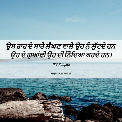 Picture 06 - ਜ਼ਬੂਰ 89:41 PANIRV - ਉਸ ਰਾਹ ਦੇ ਸਾਰੇ ਲੰਘਣ - Bible Verse Picture