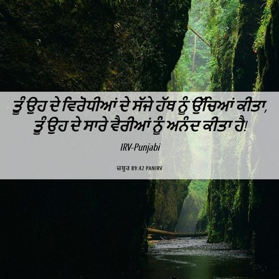 Picture 06 - ਜ਼ਬੂਰ 89:42 PANIRV - ਤੂੰ ਉਹ ਦੇ ਵਿਰੋਧੀਆਂ - Bible Verse Picture