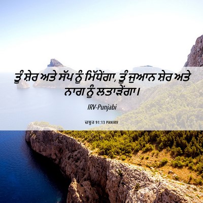 Picture 06 - ਜ਼ਬੂਰ 91:13 PANIRV - ਤੂੰ ਸ਼ੇਰ ਅਤੇ ਸੱਪ - Bible Verse Picture