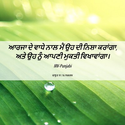 Picture 06 - ਜ਼ਬੂਰ 91:16 PANIRV - ਆਰਜਾ ਦੇ ਵਾਧੇ ਨਾਲ - Bible Verse Picture