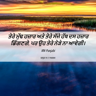 Picture 06 - ਜ਼ਬੂਰ 91:7 PANIRV - ਤੇਰੇ ਮੁੱਢ ਹਜ਼ਾਰ - Bible Verse Picture