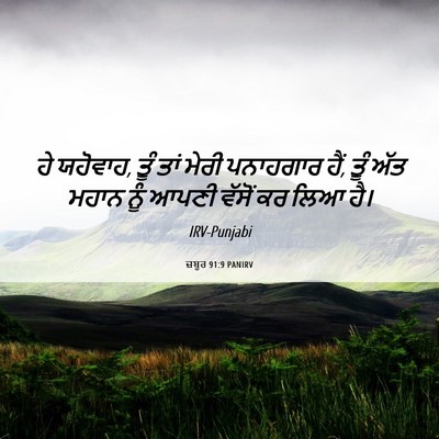 Picture 06 - ਜ਼ਬੂਰ 91:9 PANIRV - ਹੇ ਯਹੋਵਾਹ, ਤੂੰ ਤਾਂ - Bible Verse Picture