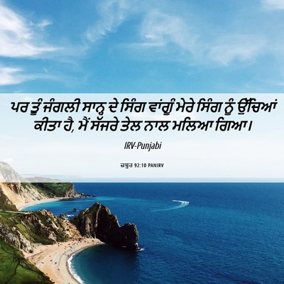 Picture 06 - ਜ਼ਬੂਰ 92:10 PANIRV - ਪਰ ਤੂੰ ਜੰਗਲੀ ਸਾਨ੍ਹ - Bible Verse Picture