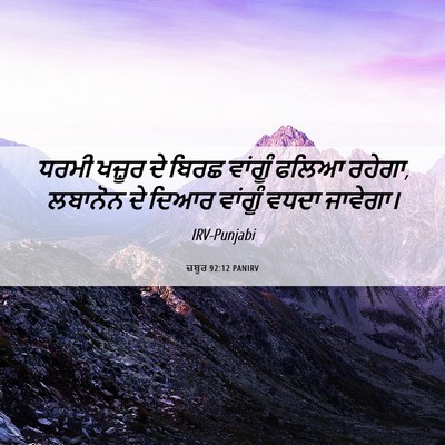 Picture 06 - ਜ਼ਬੂਰ 92:12 PANIRV - ਧਰਮੀ ਖਜ਼ੂਰ ਦੇ ਬਿਰਛ - Bible Verse Picture