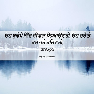 Picture 06 - ਜ਼ਬੂਰ 92:14 PANIRV - ਓਹ ਬੁਢੇਪੇ ਵਿੱਚ ਵੀ - Bible Verse Picture