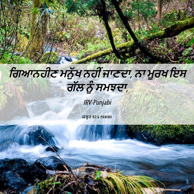 Picture 06 - ਜ਼ਬੂਰ 92:6 PANIRV - ਗਿਆਨਹੀਣ ਮਨੁੱਖ - Bible Verse Picture