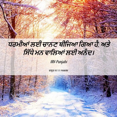 Picture 06 - ਜ਼ਬੂਰ 97:11 PANIRV - ਧਰਮੀਆਂ ਲਈ ਚਾਨਣ - Bible Verse Picture