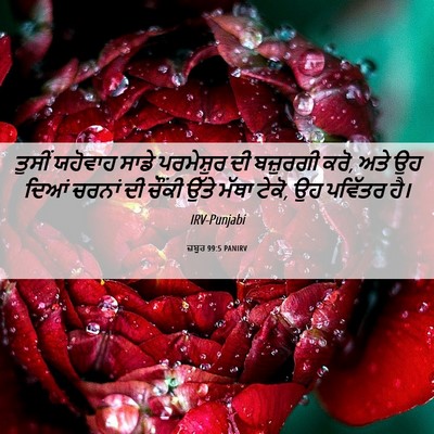 Picture 06 - ਜ਼ਬੂਰ 99:5 PANIRV - ਤੁਸੀਂ ਯਹੋਵਾਹ ਸਾਡੇ - Bible Verse Picture