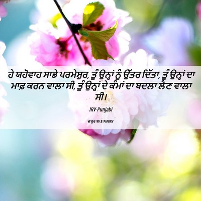 Picture 06 - ਜ਼ਬੂਰ 99:8 PANIRV - ਹੇ ਯਹੋਵਾਹ ਸਾਡੇ - Bible Verse Picture