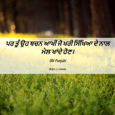 Picture 06 - ਤੀਤੁਸ 2:1 PANIRV - ਪਰ ਤੂੰ ਉਹ ਬਚਨ ਆਖੀਂ - Bible Verse Picture