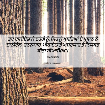 Picture 06 - ਦਾਨੀਏਲ 1:11 PANIRV - ਤਦ ਦਾਨੀਏਲ ਨੇ ਦਰੋਗੇ - Bible Verse Picture
