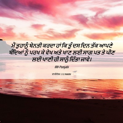 Picture 06 - ਦਾਨੀਏਲ 1:12 PANIRV - ਮੈਂ ਤੁਹਾਨੂੰ ਬੇਨਤੀ - Bible Verse Picture