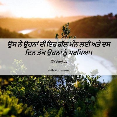 Picture 06 - ਦਾਨੀਏਲ 1:14 PANIRV - ਉਸ ਨੇ ਉਹਨਾਂ ਦੀ ਇਹ - Bible Verse Picture