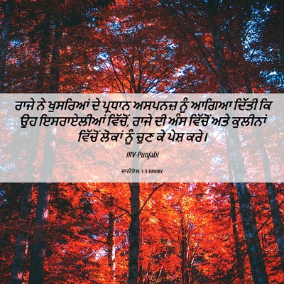 Picture 06 - ਦਾਨੀਏਲ 1:3 PANIRV - ਰਾਜੇ ਨੇ ਖੁਸਰਿਆਂ ਦੇ - Bible Verse Picture