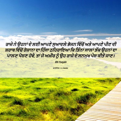 Picture 06 - ਦਾਨੀਏਲ 1:5 PANIRV - ਰਾਜੇ ਨੇ ਉਹਨਾਂ ਦੇ ਲਈ - Bible Verse Picture