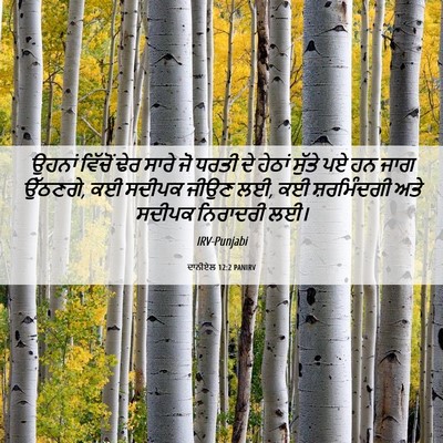 Picture 06 - ਦਾਨੀਏਲ 12:2 PANIRV - ਉਹਨਾਂ ਵਿੱਚੋਂ ਢੇਰ - Bible Verse Picture