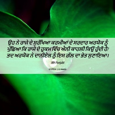Picture 06 - ਦਾਨੀਏਲ 2:15 PANIRV - ਉਹ ਨੇ ਰਾਜੇ ਦੇ - Bible Verse Picture