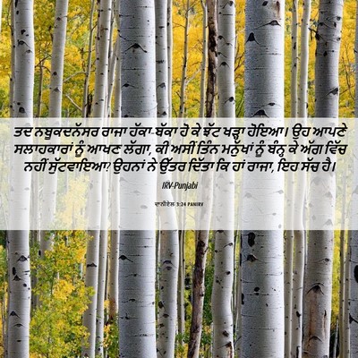 Picture 06 - ਦਾਨੀਏਲ 3:24 PANIRV - ਤਦ ਨਬੂਕਦਨੱਸਰ ਰਾਜਾ - Bible Verse Picture