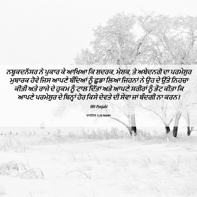 Picture 06 - ਦਾਨੀਏਲ 3:28 PANIRV - ਨਬੂਕਦਨੱਸਰ ਨੇ - Bible Verse Picture